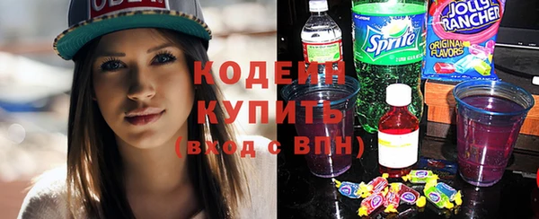 соль ск Нея