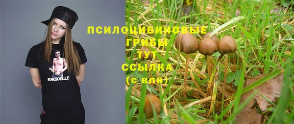 герыч Куровское