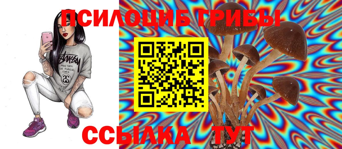 Псилоцибиновые грибы GOLDEN TEACHER  Псилоцибиновые грибы Psilocybine cubensis  Вход с VPN  Переславль-Залесский 